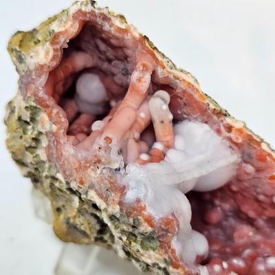 Agatized Coral, Fairy Quartz & More (GB-JS)