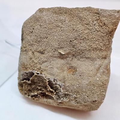 Agatized Coral, Fairy Quartz & More (GB-JS)