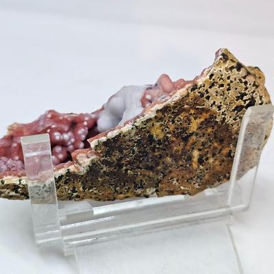 Agatized Coral, Fairy Quartz & More (GB-JS)