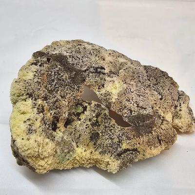 Agatized Coral, Fairy Quartz & More (GB-JS)