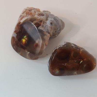 Vivianite w/ Mixed Rough Stones (GB-BBL)