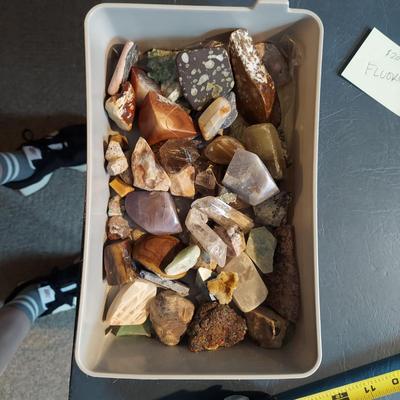 Vivianite w/ Mixed Rough Stones (GB-BBL)