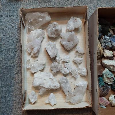 Vivianite w/ Mixed Rough Stones (GB-BBL)