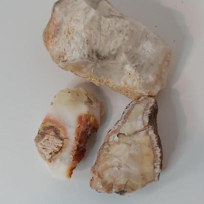 Vivianite w/ Mixed Rough Stones (GB-BBL)