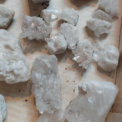 Vivianite w/ Mixed Rough Stones (GB-BBL)