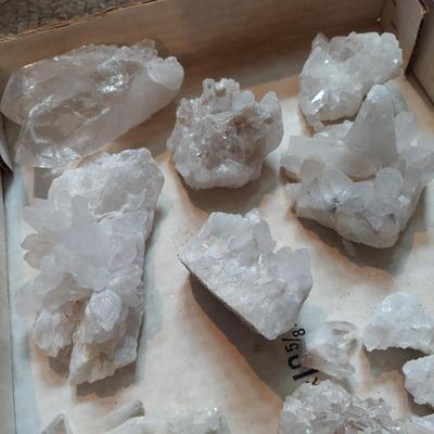 Vivianite w/ Mixed Rough Stones (GB-BBL)