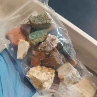 Vivianite w/ Mixed Rough Stones (GB-BBL)