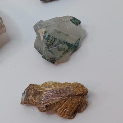 Vivianite w/ Mixed Rough Stones (GB-BBL)