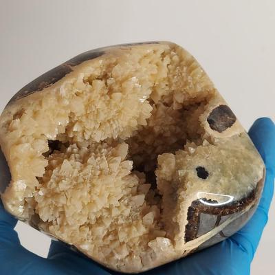 Polished Malachite, Jasper & Septarian Geode (GB-BBL)