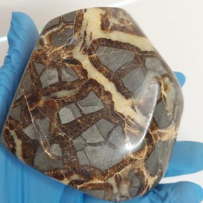 Polished Malachite, Jasper & Septarian Geode (GB-BBL)