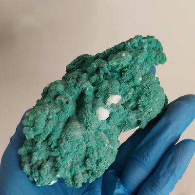 Aurichalcite w/ Smithsonite, Thompsonite & More (GB-BBL)