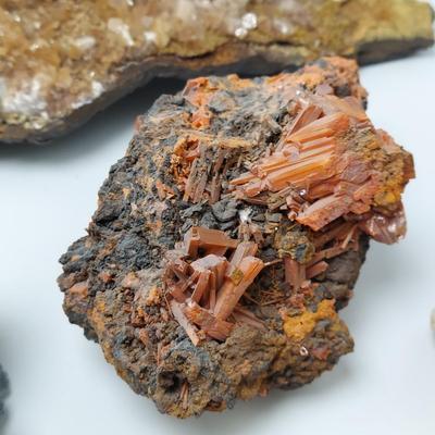 Vanadite, Fluorapatite, Wavelite & More (GB-BBL)