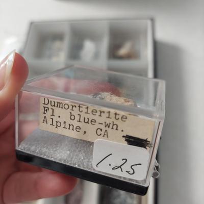 Creedite & More Crystal Displays (GB-BBL)