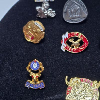 Vintage Moose Lodge hat pins with bolo tie with unique gold color coin back - Annual pins - Award pins - Collectibles