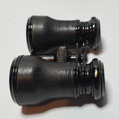 Antique opera glasses with leather case