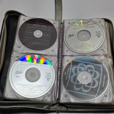 Zippered Storage for automobiles FULL of cd music - with a cd visor storage unit