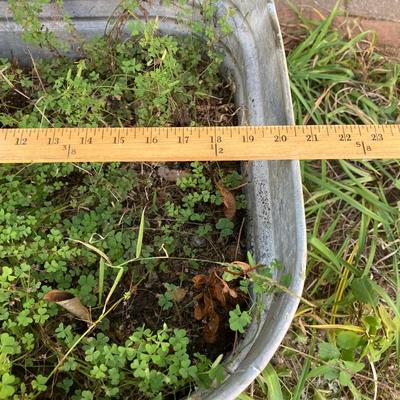 LOT 74: Unique Find - Wheeling Galvanized Wash Tub on Stand