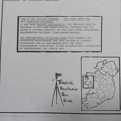 LOT 167: Collection of Art and Books on Ireland