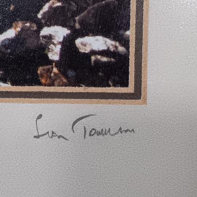 LOT 167: Collection of Art and Books on Ireland