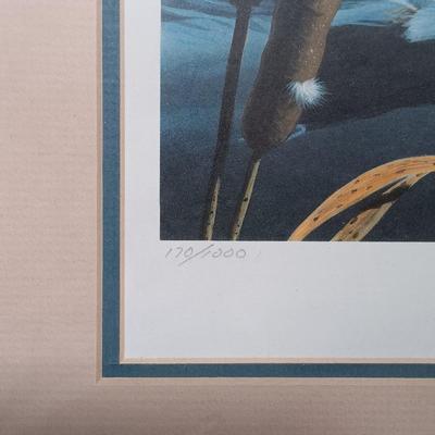 LOT 168: Signed and Numbered Florida Migratory Water Fowl Stamp Print and Stamp in Frame