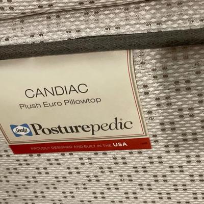 Queen Posturepedic mattress and headboard with shell design