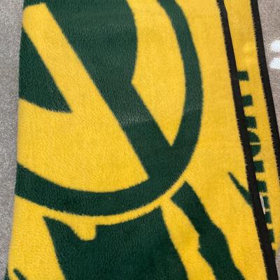 GB Stadium picture and blanket