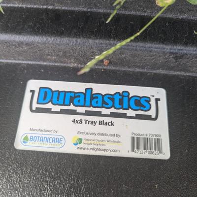 Flood Tray 8' x 4' 7" Deep Black Plastic