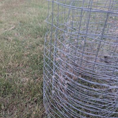 Galvanaized wire 28" tall