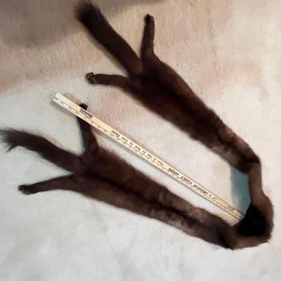 Lot 10 Mink Stoll
