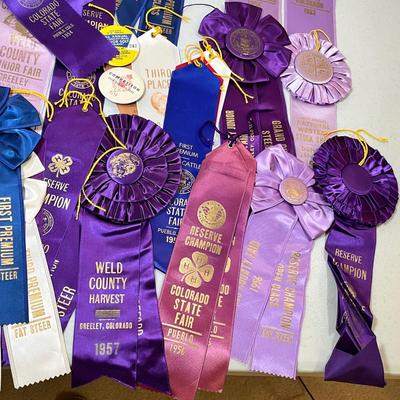 Lot 41 WOW! Vintage Ribbons
