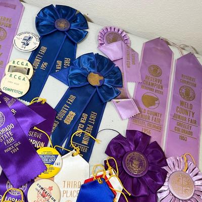 Lot 41 WOW! Vintage Ribbons