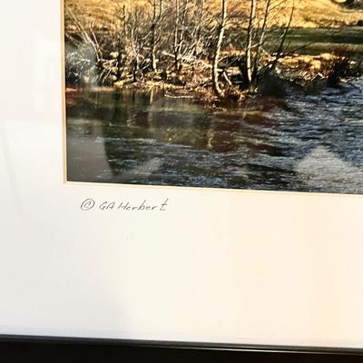 Lot 56 2 Pictures