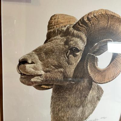 Lot 65 Rams Art lot