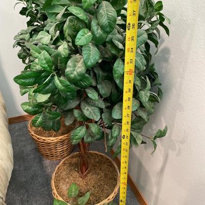 2 small faux trees