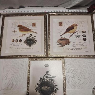 bird art