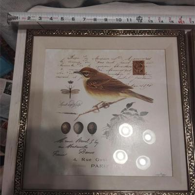 bird art