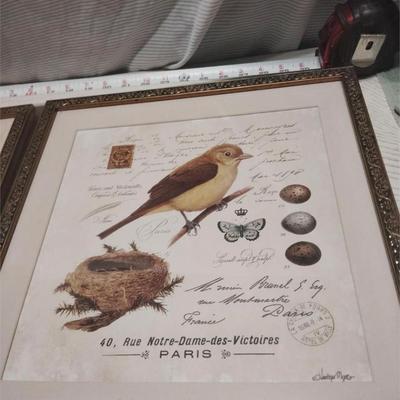 bird art