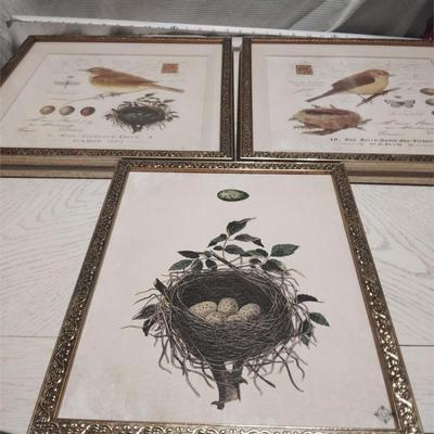 bird art
