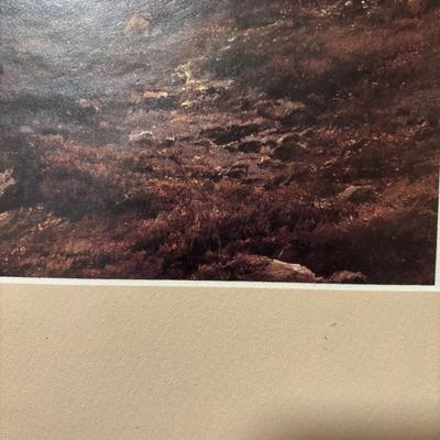 Mountain Picture