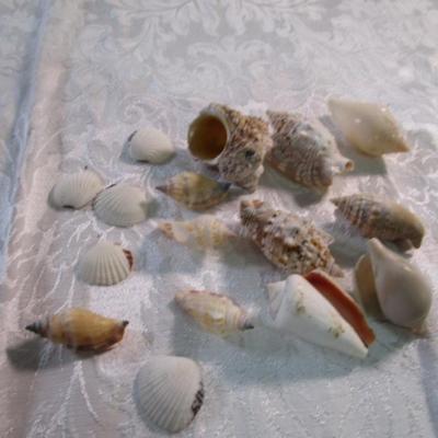 Sale Photo Thumbnail #217: Silk flowers, organdie gift bags, 2 teacup & plate display stands, shells, picture hanging wire, beads, watchband, floral wire, jewelry making wire, picture frame, glue sticks. See pictures