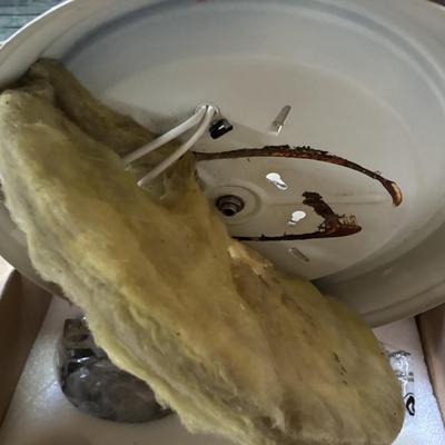 Used Ceiling Light
