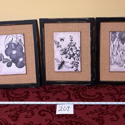 Plant Pictures