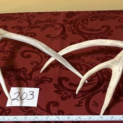 Deer Horns