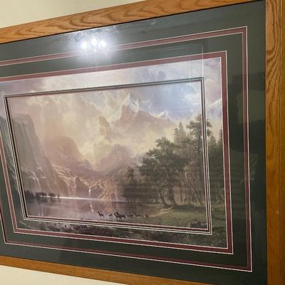 Unique matted wildlife picture