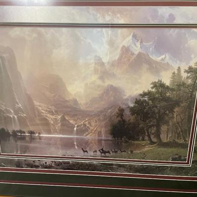 Unique matted wildlife picture