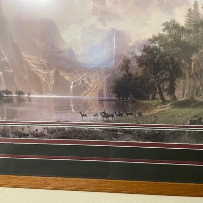 Unique matted wildlife picture
