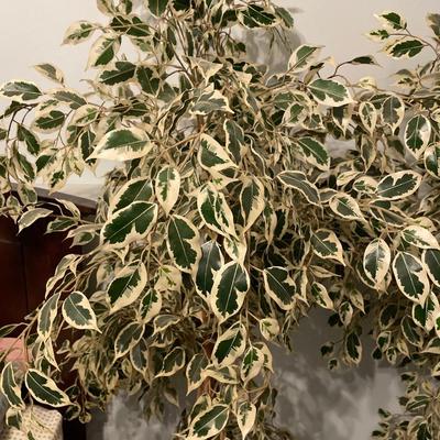 2 white and green leaf faux plants