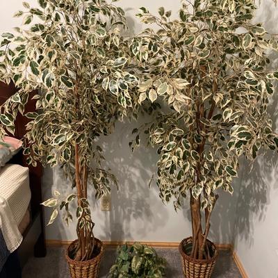 2 white and green leaf faux plants