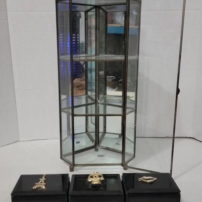 Small Display Case