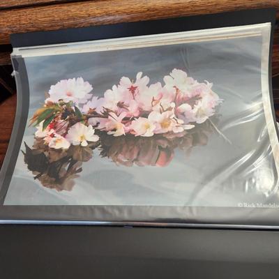 Profolio of Photographs 12x18 Suitable for Framing at least 40 in Binder